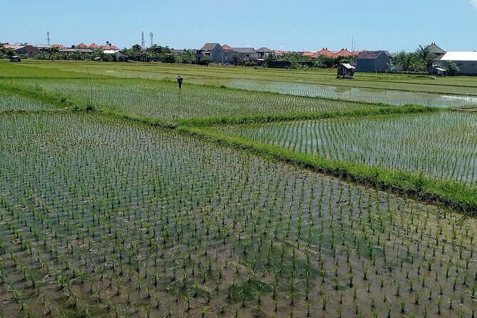 Sanur Village E-bike Tour: Family-Friendly Adventure - Price and value: what $46.48 buys you in real terms