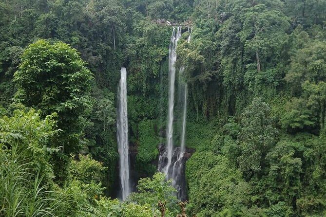 Sekumpul waterfall & aling2 waterfall with private service (including activity) - Who This Private Waterfall Day Is Best For