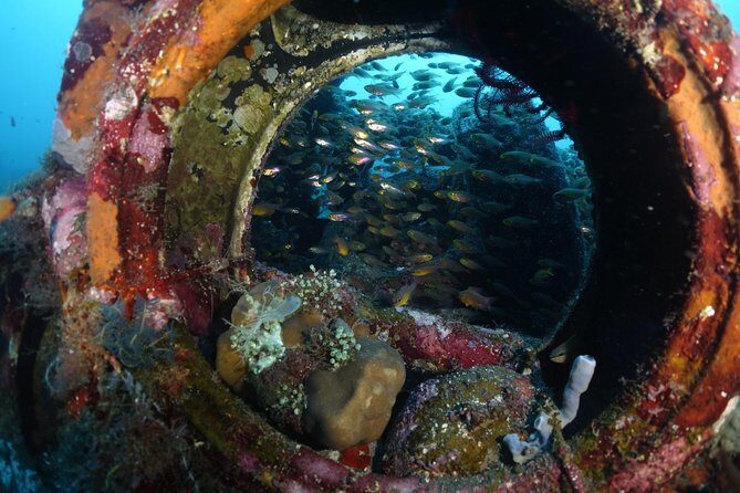 Shipwreck Diving in Tulamben - Key things to know before you book