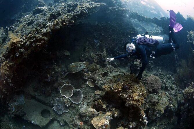 Shipwreck Diving in Tulamben - On the USAT Liberty: why this wreck is worth the effort