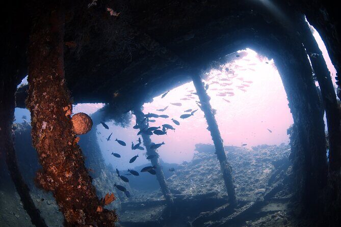 Shipwreck Diving in Tulamben - Neptune’s setup: briefing first, then a structured day