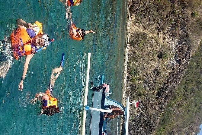 Snorkeling at Blue lagoon For walking customers - Price and value: what $19.05 buys you in Bali water