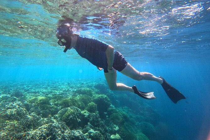 Snorkeling at Menjangan Island Bali Hidden Underwater Gem - Key highlights