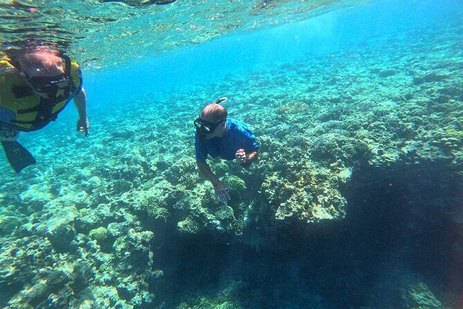 Snorkeling at Menjangan Island Bali Hidden Underwater Gem - Menjangan’s Reef Walls: Where the Wildlife Shows Up