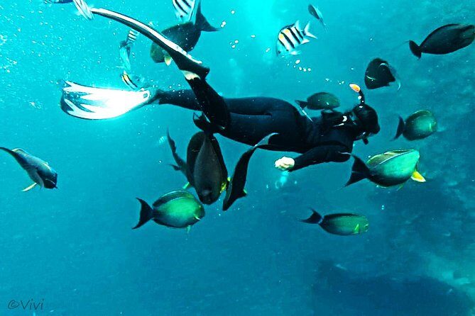 Snorkeling Package at Tulamben Liberty Shipwreck - Lunch and the Midday Reset: Simple Food, Smart Timing