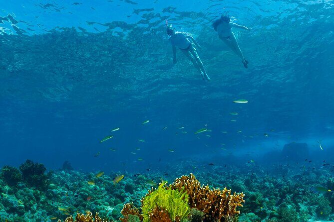 Snorkeling Trip to Menjangan Island - The 09:00–14:00 plan: two snorkeling stops and a realistic pacing