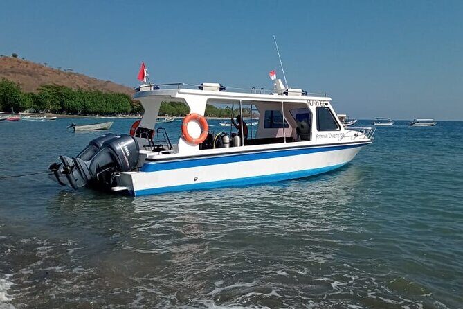 Snorkeling Trip to Menjangan Island - Who should book this Menjangan snorkeling trip