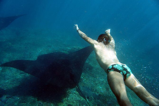 Snorkelling with Manta Rays at Nusa Penida and Lembongan - Timing and what to do before you’re on the boat