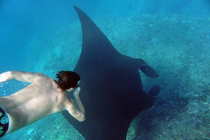 Snorkelling with Manta Rays at Nusa Penida and Lembongan - Should you book snorkelling with manta rays at Nusa Penida and Lembongan?