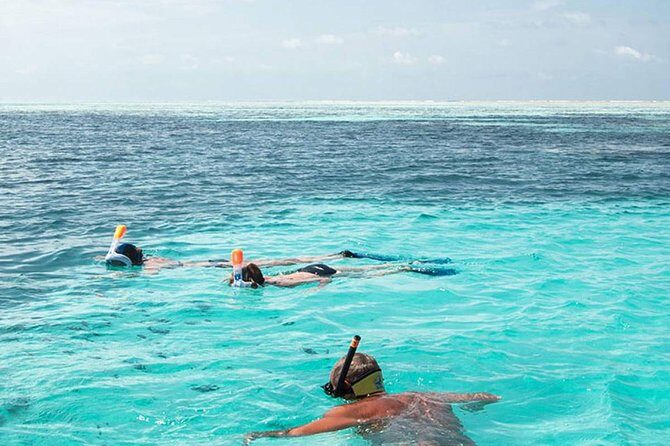 The Best 2-point Snorkeling in Padangbai: Blue lagoon and Tanjung jepun - Key Highlights You’ll Notice Right Away