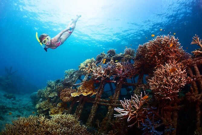 The Best 2-point Snorkeling in Padangbai: Blue lagoon and Tanjung jepun - Who Should Book This Padangbai Snorkeling Pair (and Who Might Skip)