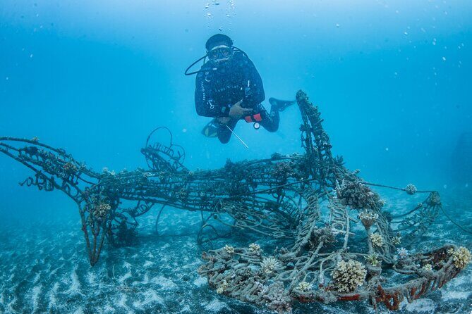 Try Dive Program in the Biorock Pemuteran - Key highlights to know before you go