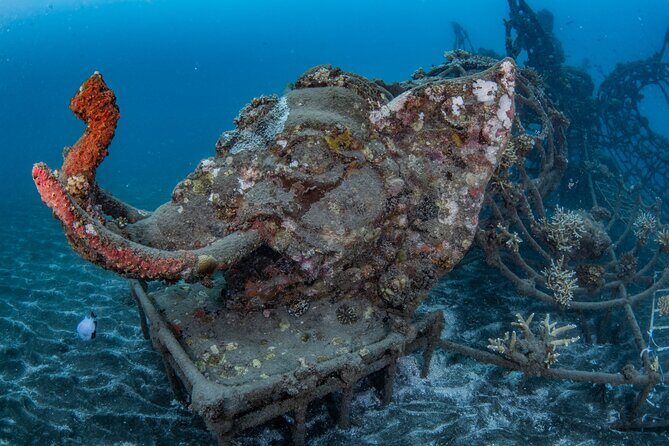 Try Dive Program in the Biorock Pemuteran - Debrief, shower, and changing: the part people forget to plan for