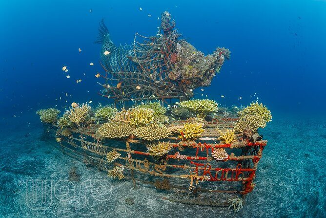 Try Dive Program in the Biorock Pemuteran - Meeting point and schedule: keep it simple, show up prepared