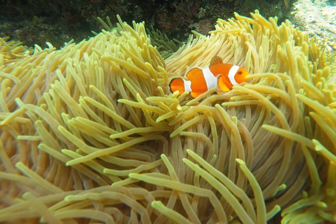 Try Scuba Diving at Padang Bai - Lunch, hot drinks, towels, and the shower you’ll thank yourself for