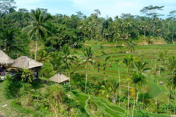 Ubud Combine Mount Batur Kintamani Tour - Mt. Batur and Kintamani: big Lake Batur views without the sunrise pain
