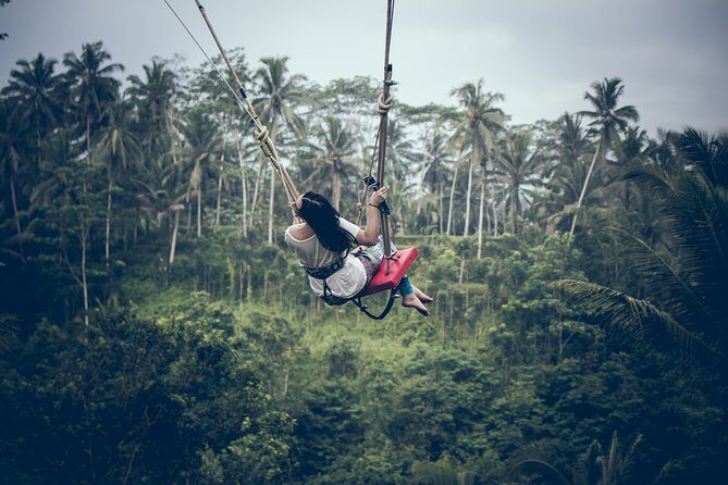 Ubud Customized Private Tour - Custom planning: where the tour actually earns its name
