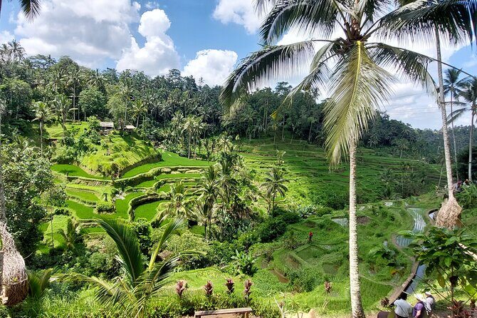 Ubud Customized Private Tour - Stop-style day: what to expect from each kind of place