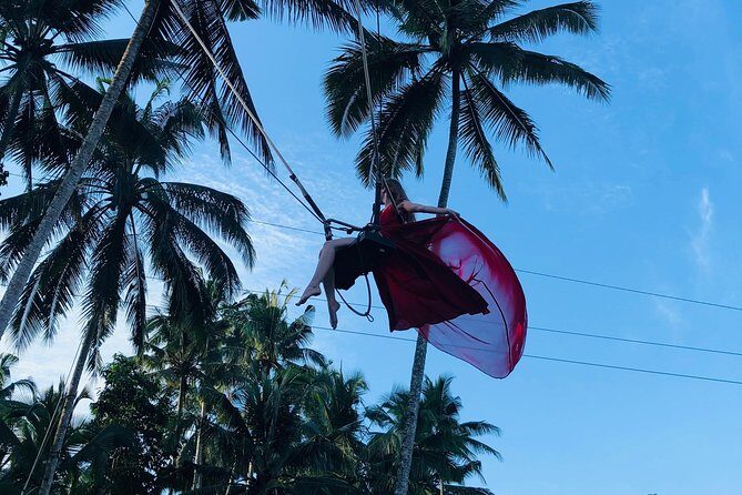 Ubud Experience ; Swing, Waterfalls, Art Market, Rice Terrace - Tegalalang Rice Terrace: Photos, Farming, and Practical Walking Time