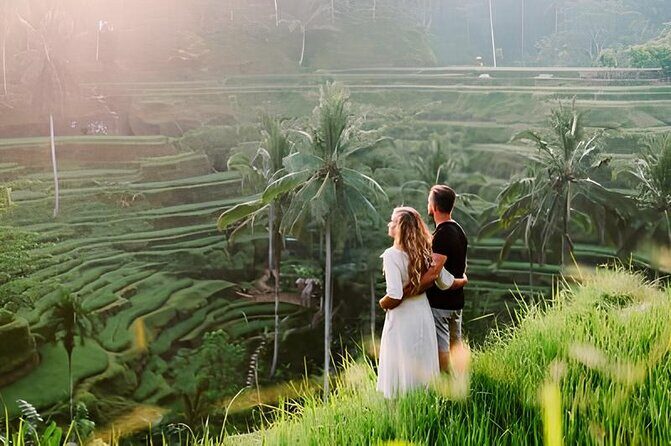 Ubud Highlights Rice Terraces, Temple, Waterfall & Monkeys forest - Why this Ubud day works better than self-driving