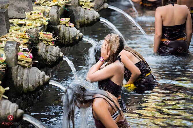 Ubud Highlights Rice Terraces, Temple, Waterfall & Monkeys forest - Sacred Monkey Forest Sanctuary: up close with monkeys (and etiquette)