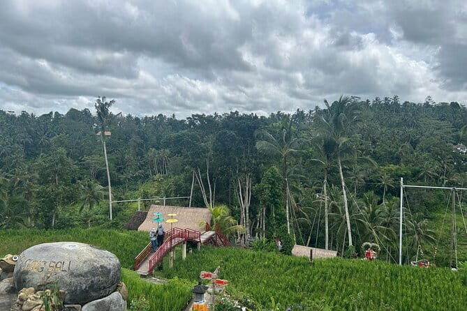 Ubud Private Tour From Cruise Port Benoa Bali All Inclusive - Tegalalang rice terraces: the stop that gives context, not just photos