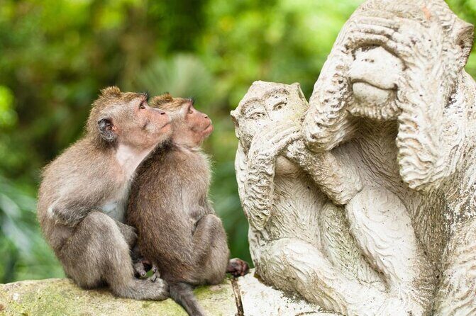 Ubud Sacred Monkey Forest & Art Village Tour - Key Things I’d Pay Attention To