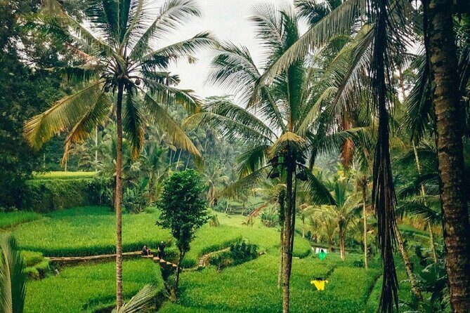 Ubud Temples, Waterfalls, Rice Terraces & Balinese Culture - What to pack (so the day stays fun, not annoying)