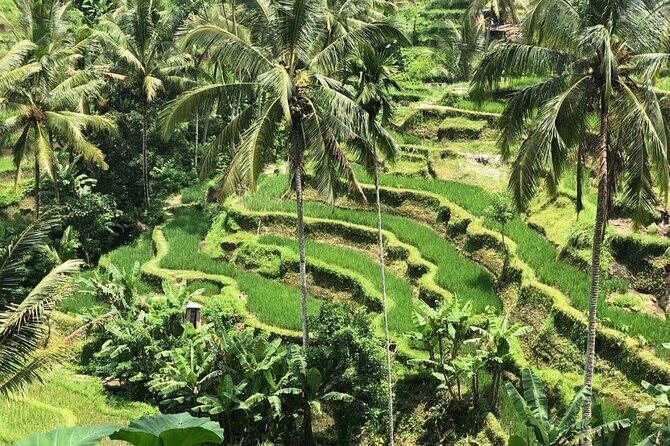 Ubud Temples, Waterfalls, Rice Terraces & Balinese Culture - Should you book this Ubud temples-and-waterfalls day?
