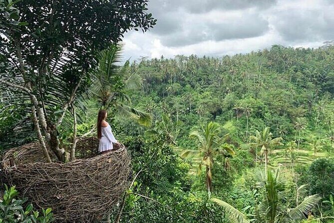 Ubud waterfall, rice terraces, and swing explore - Ubud Jungle Swing: The Right Kind of Scare, Plus Coffee Making