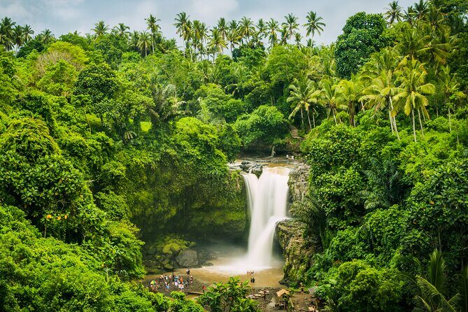 Ubud waterfall, rice terraces, and swing explore - The Driver Factor: Why a Good Guide Makes This Day Easier