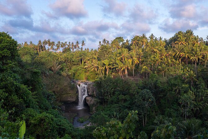 Ubud waterfall, rice terraces, and swing explore - Who This Tour Fits Best